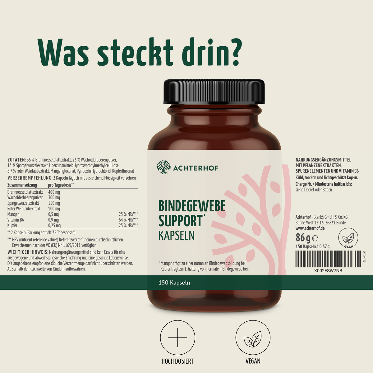 Bindegewebe Support Kapseln (180 Kapseln)