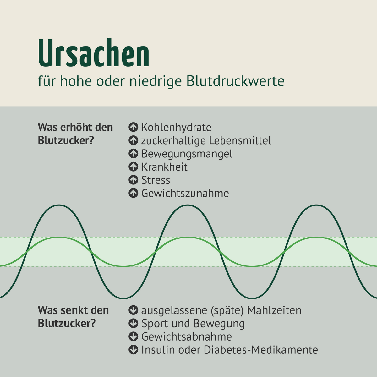 Blutzucker Komplex (120 Kapseln)