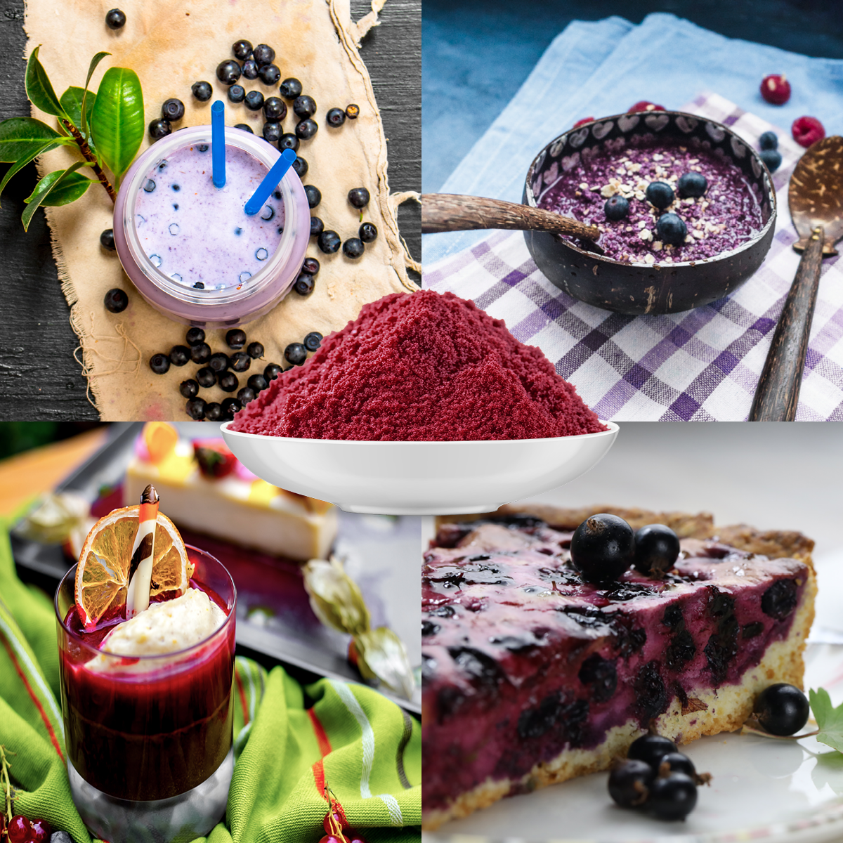Bio Cassis Fruchtpulver (100g)