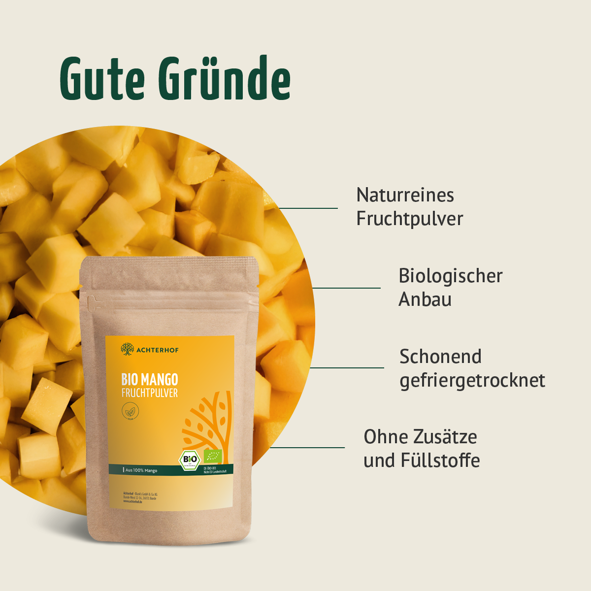 Bio Mango Fruchtpulver (250g)