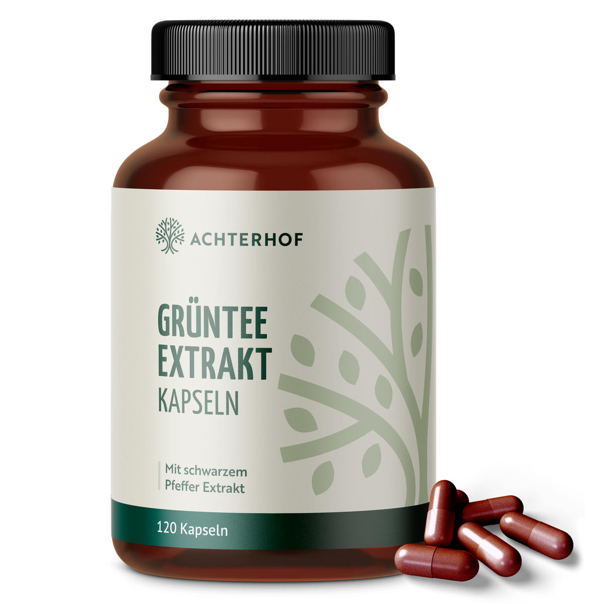 Grüntee Extrakt (120 Kapseln)