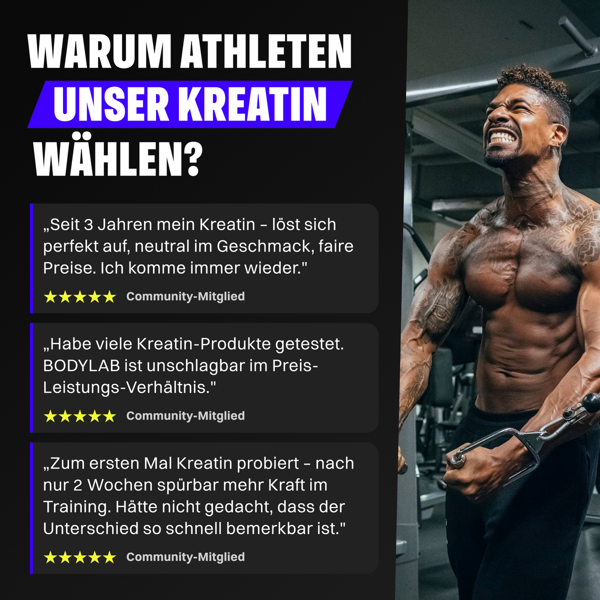 2 x Creatine Powder (500g)