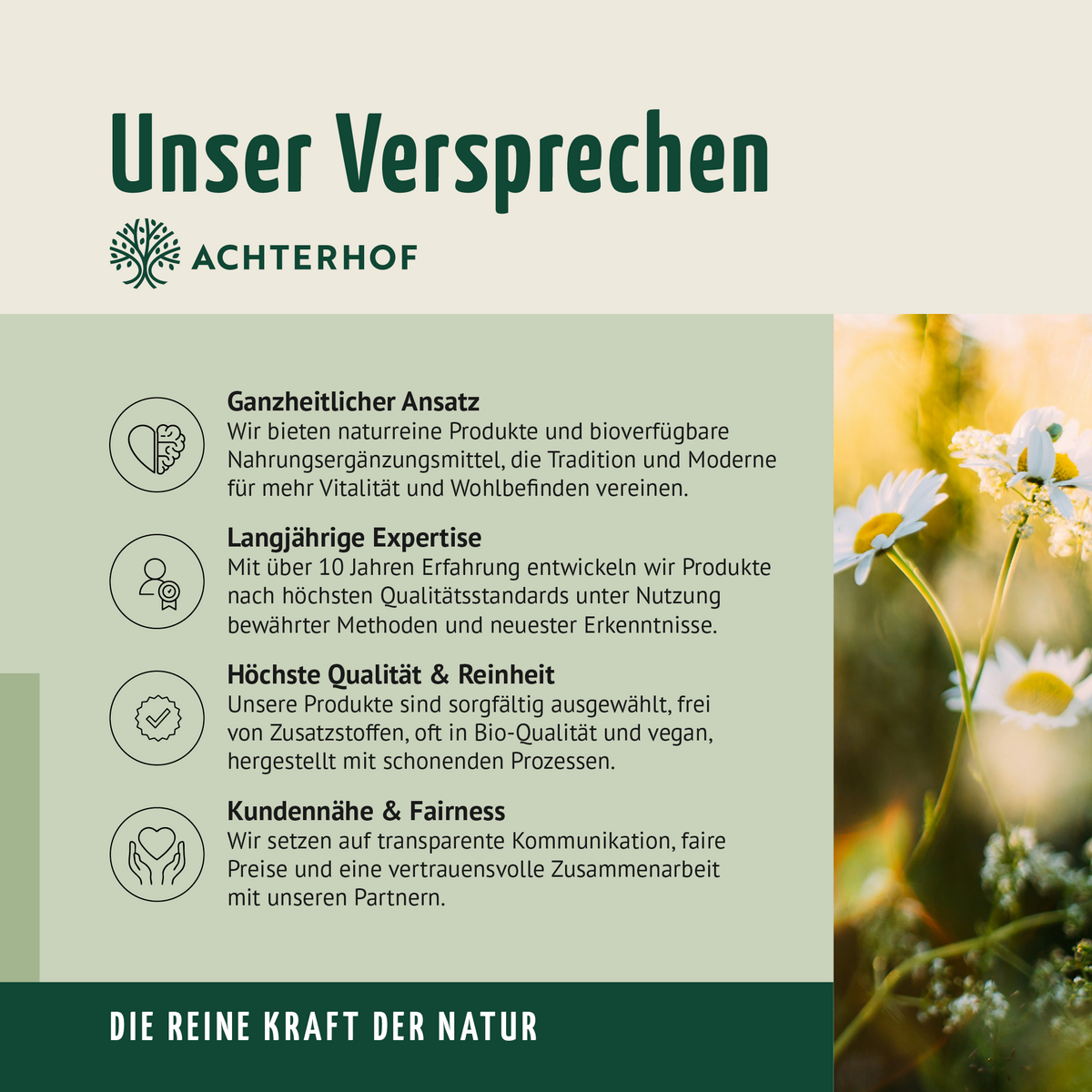 Kreatin Monohydrat Pulver (100g)
