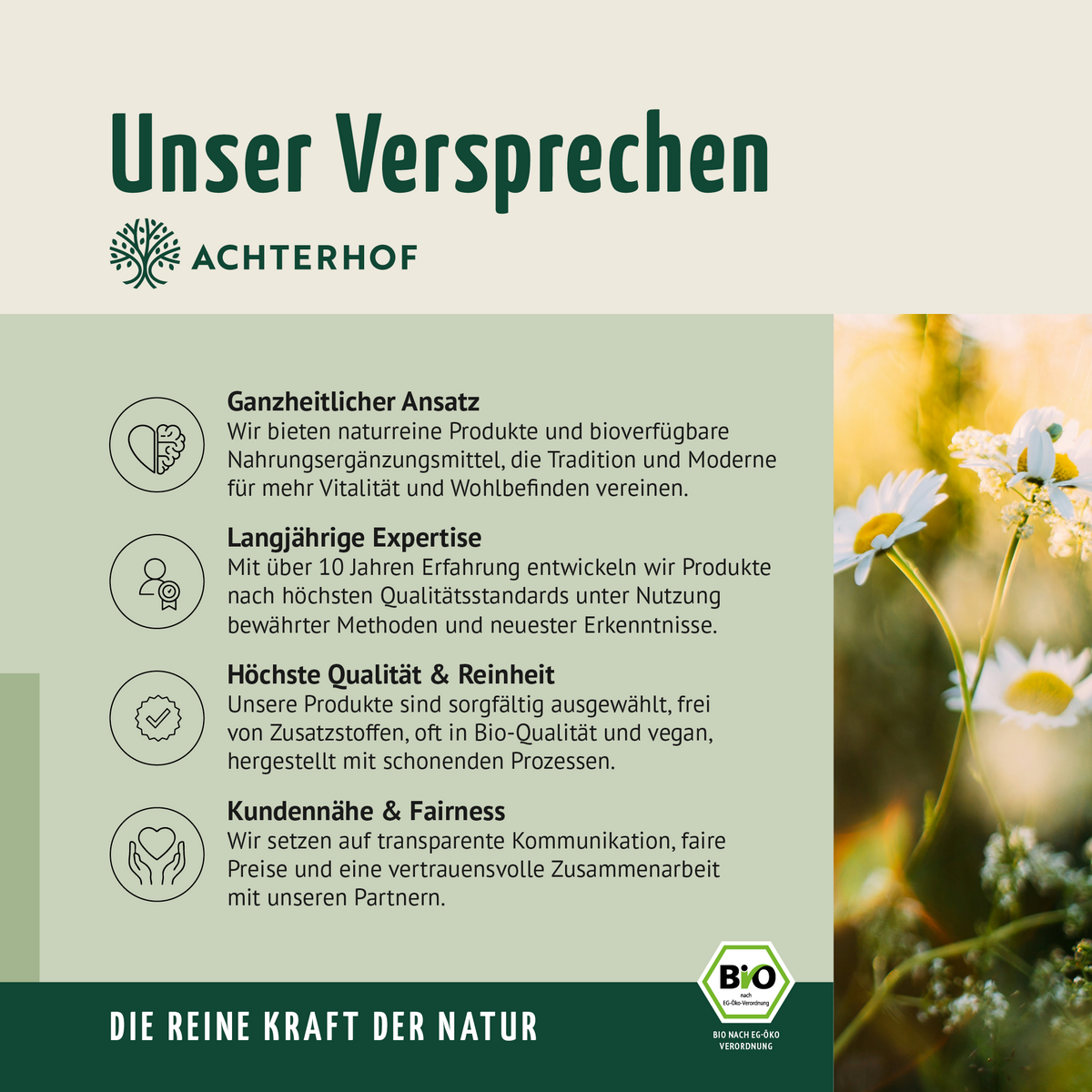 Bio Leinöl (500ml)