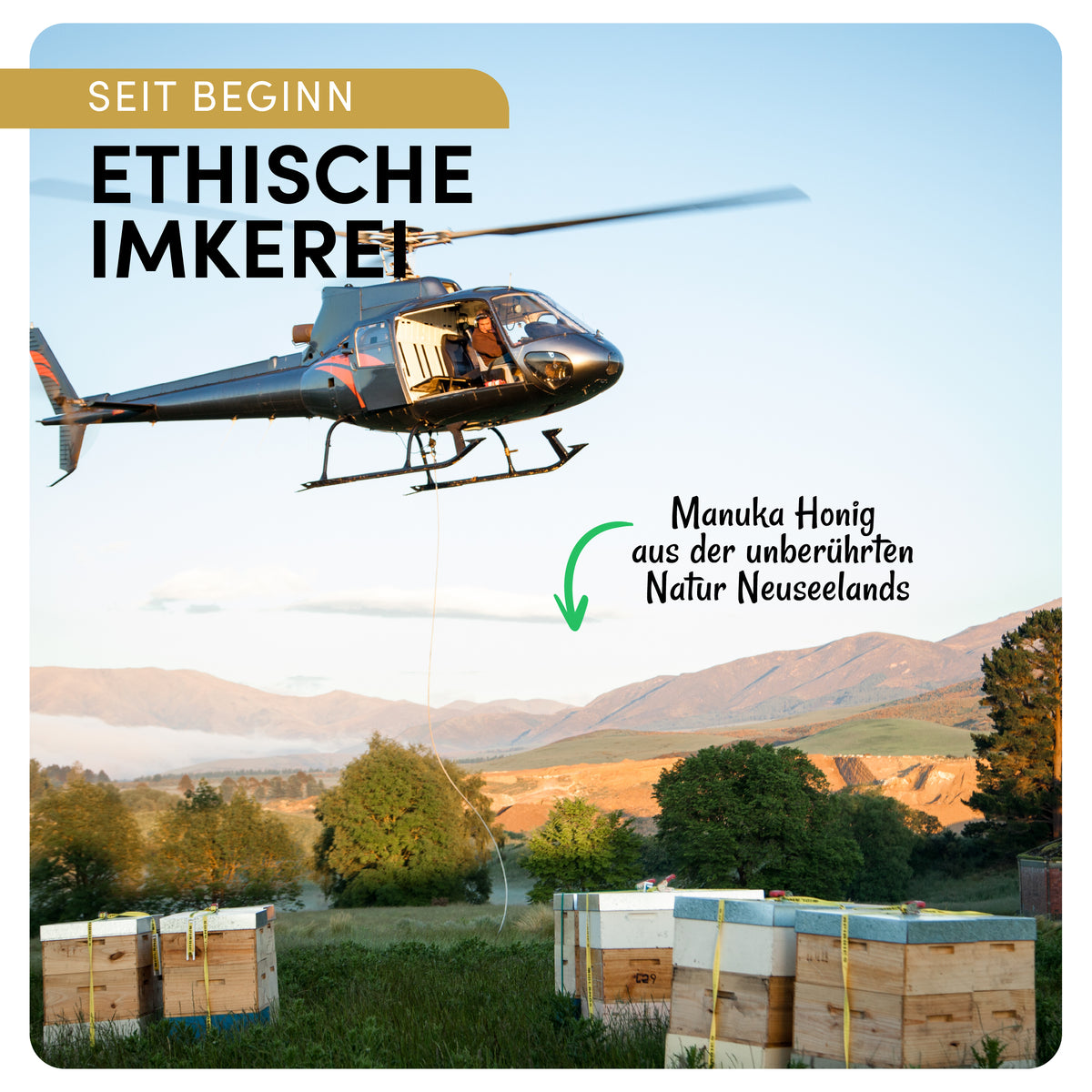 Manuka Vital Honig MGO 450+ (500g)
