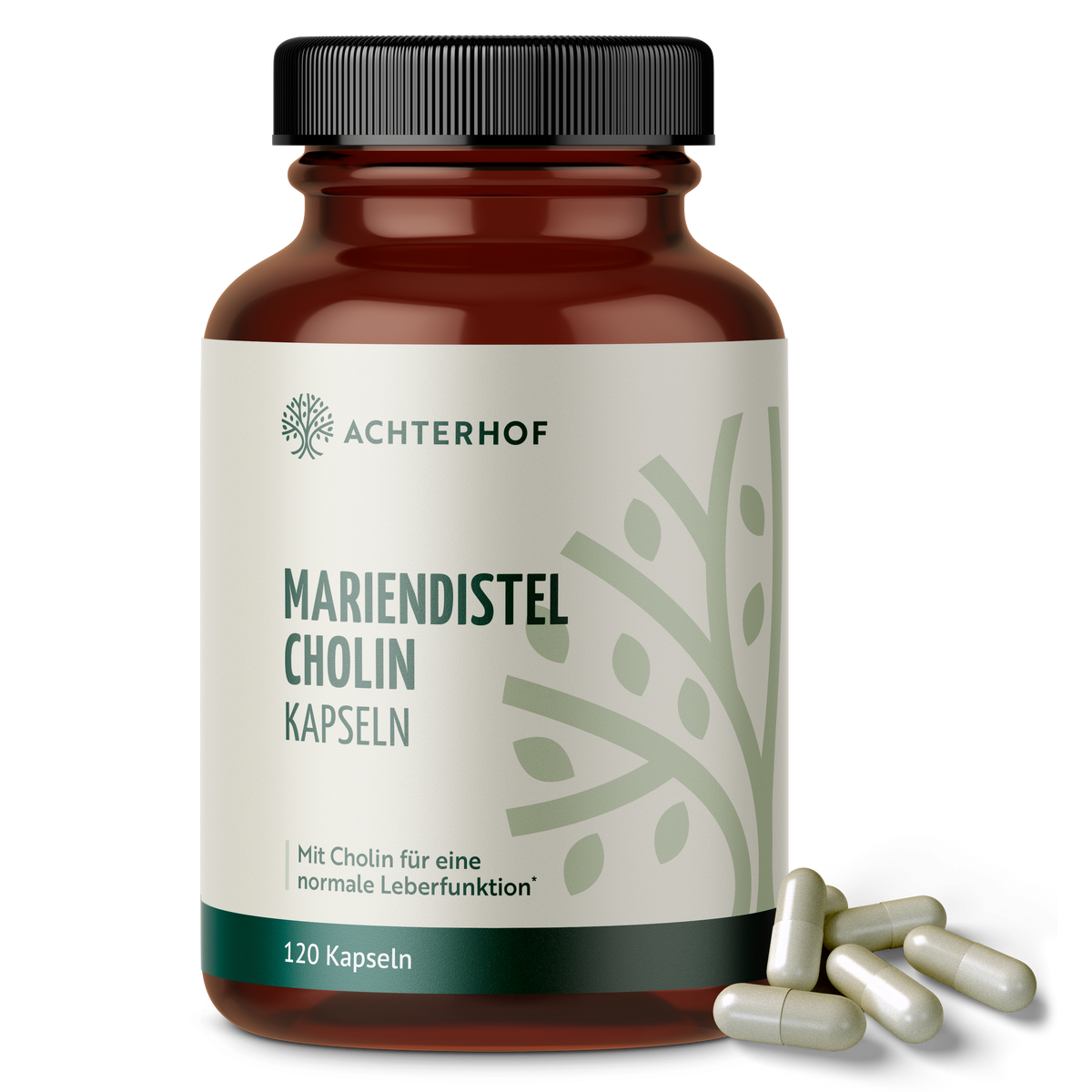 Mariendistel Cholin Kapseln (120 Kapseln)