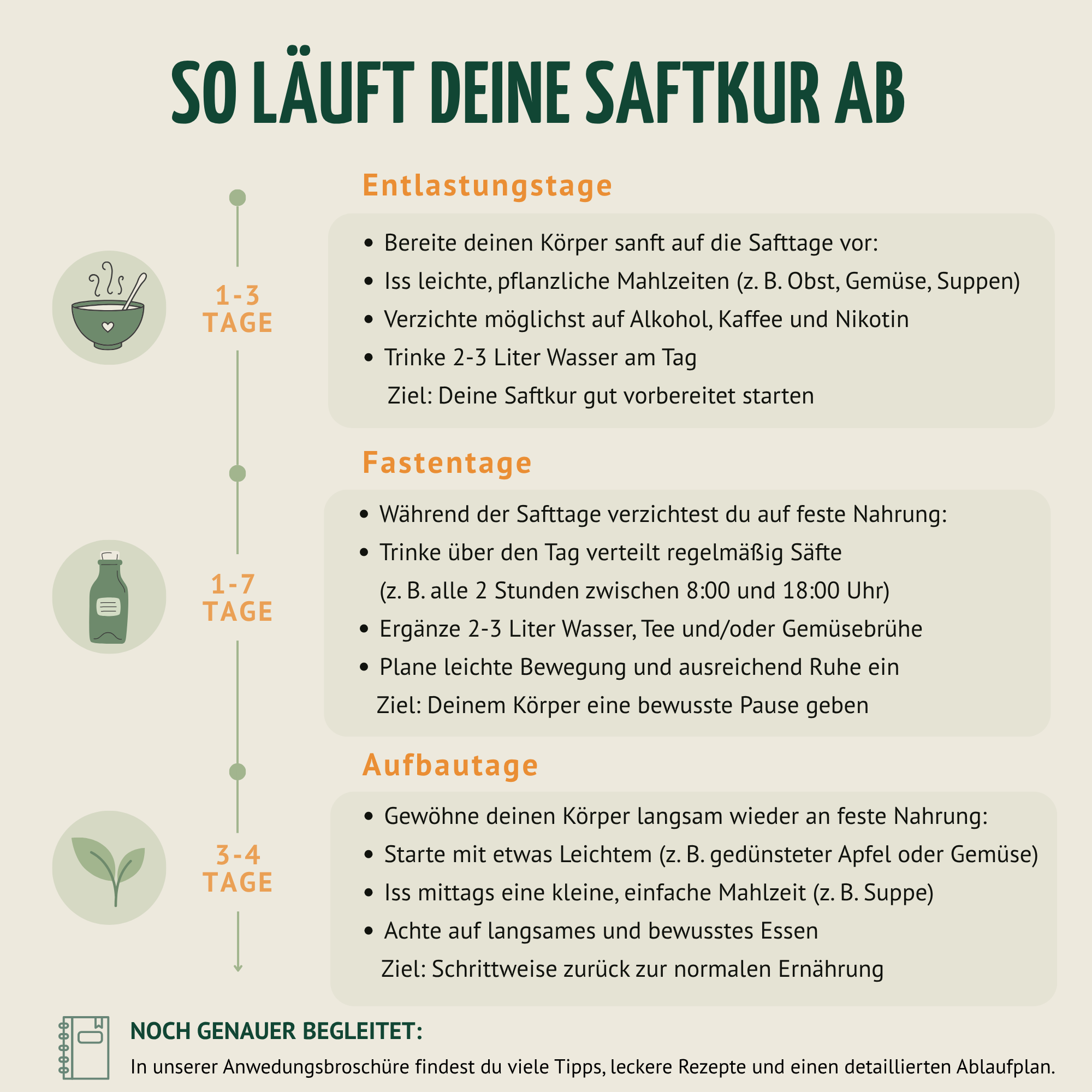 Saftzeit Bio Fastenkur 7 Tage (42 Flaschen)
