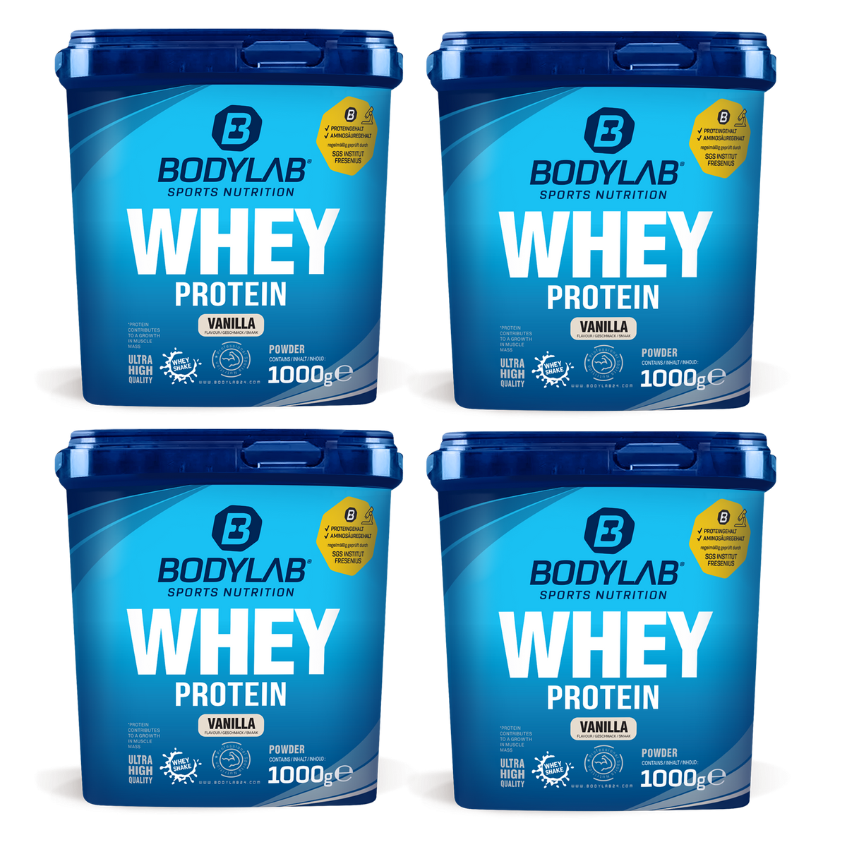 4x Whey Protein (4x1000g)