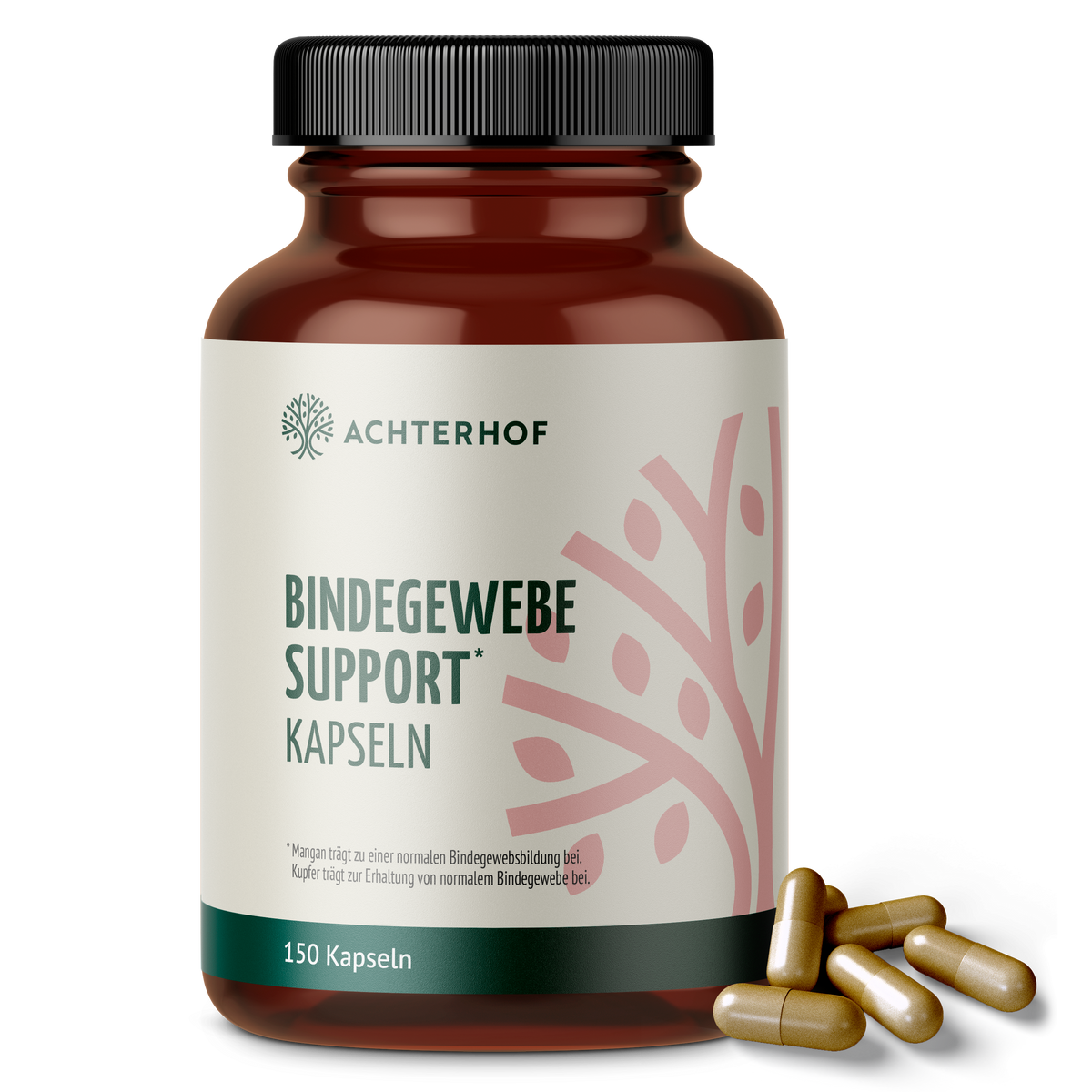 Bindegewebe Support Kapseln (180 Kapseln)