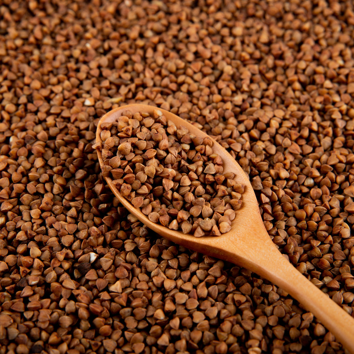 Bio Buchweizengrütze (500g)