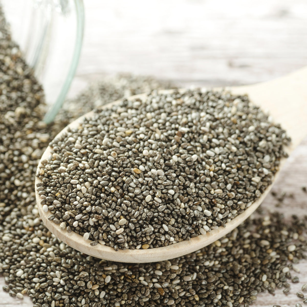Bio Chiasamen schwarz (1000g)