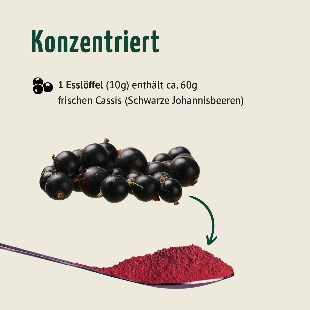 Bio Cassis Fruchtpulver (100g)