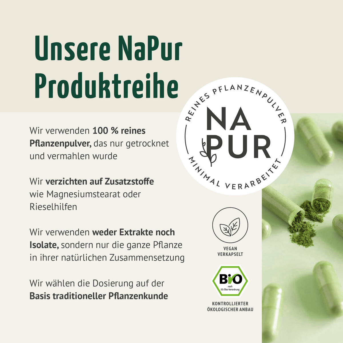 Bio Gerstengras Kapseln Nachfüllpack (400 Kapseln)
