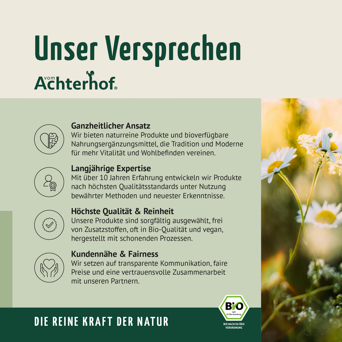 Bio Gerstengras Pulver (40g)