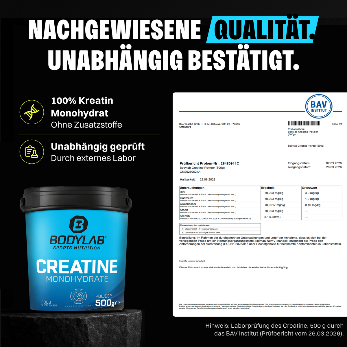 Creatine Monohydrate Powder (100g)