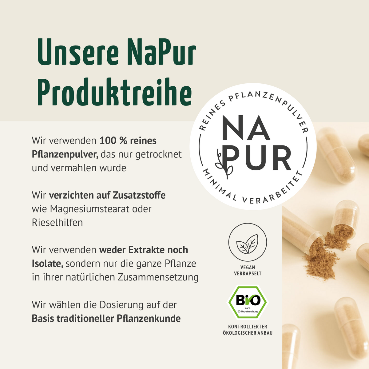 Bio Ingwer Kapseln (160 Kapseln)