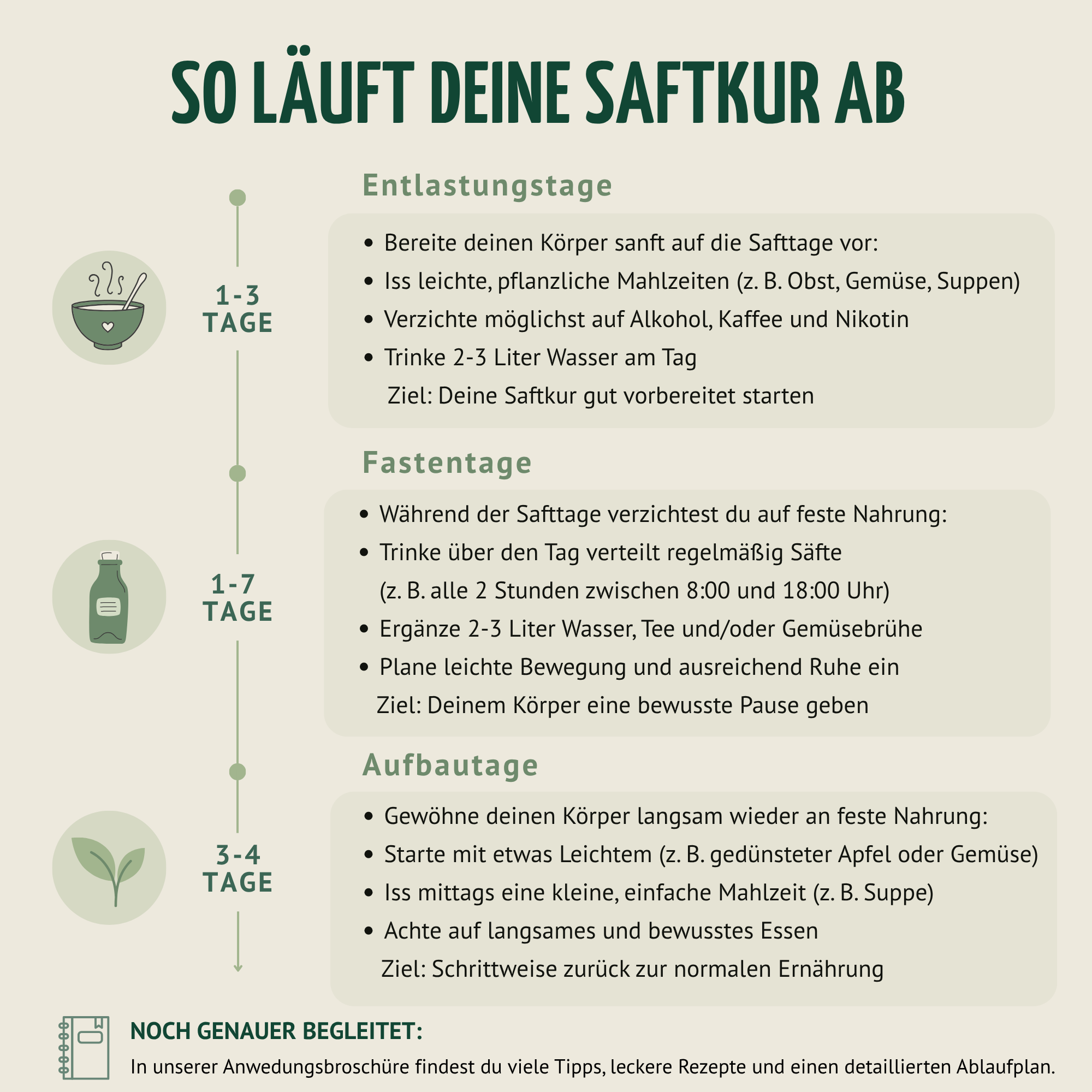 Kräuterwunder Bio Fastenkur 7 Tage (42 Flaschen)