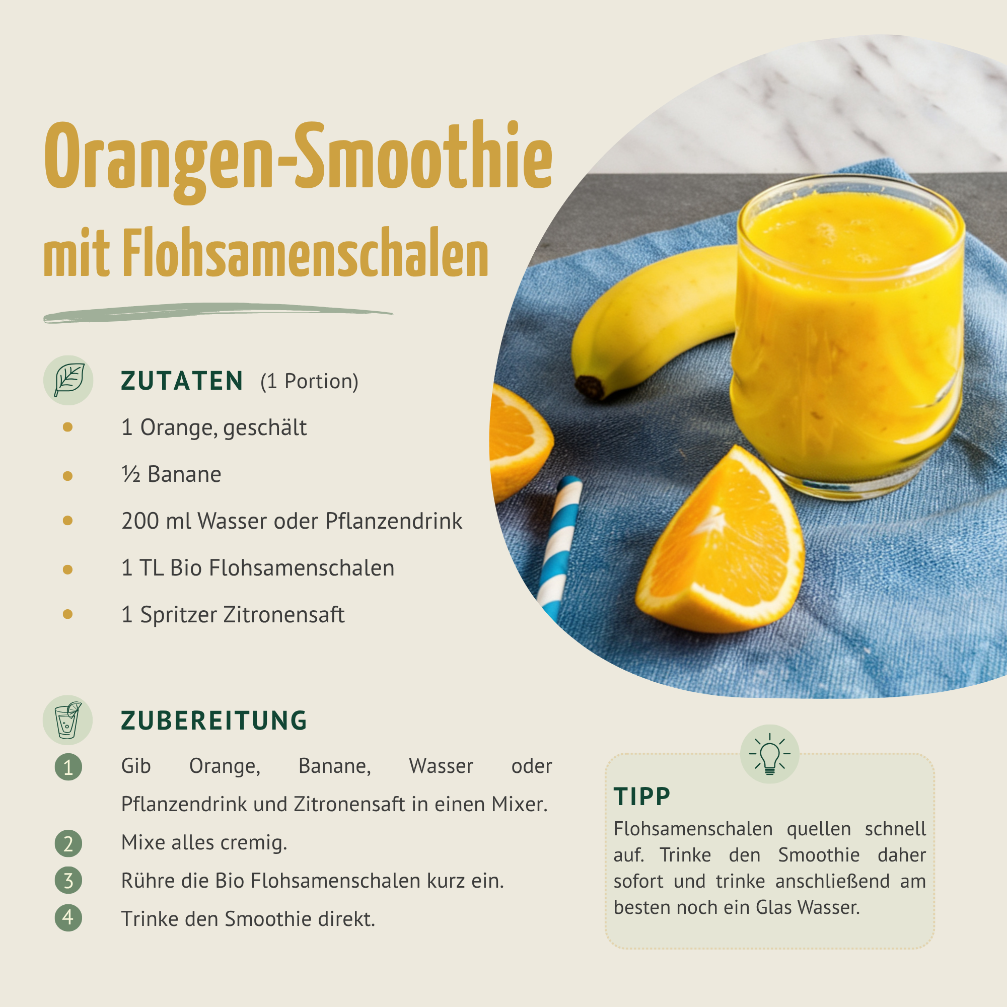 Flohsamenschalen Bio (500g)