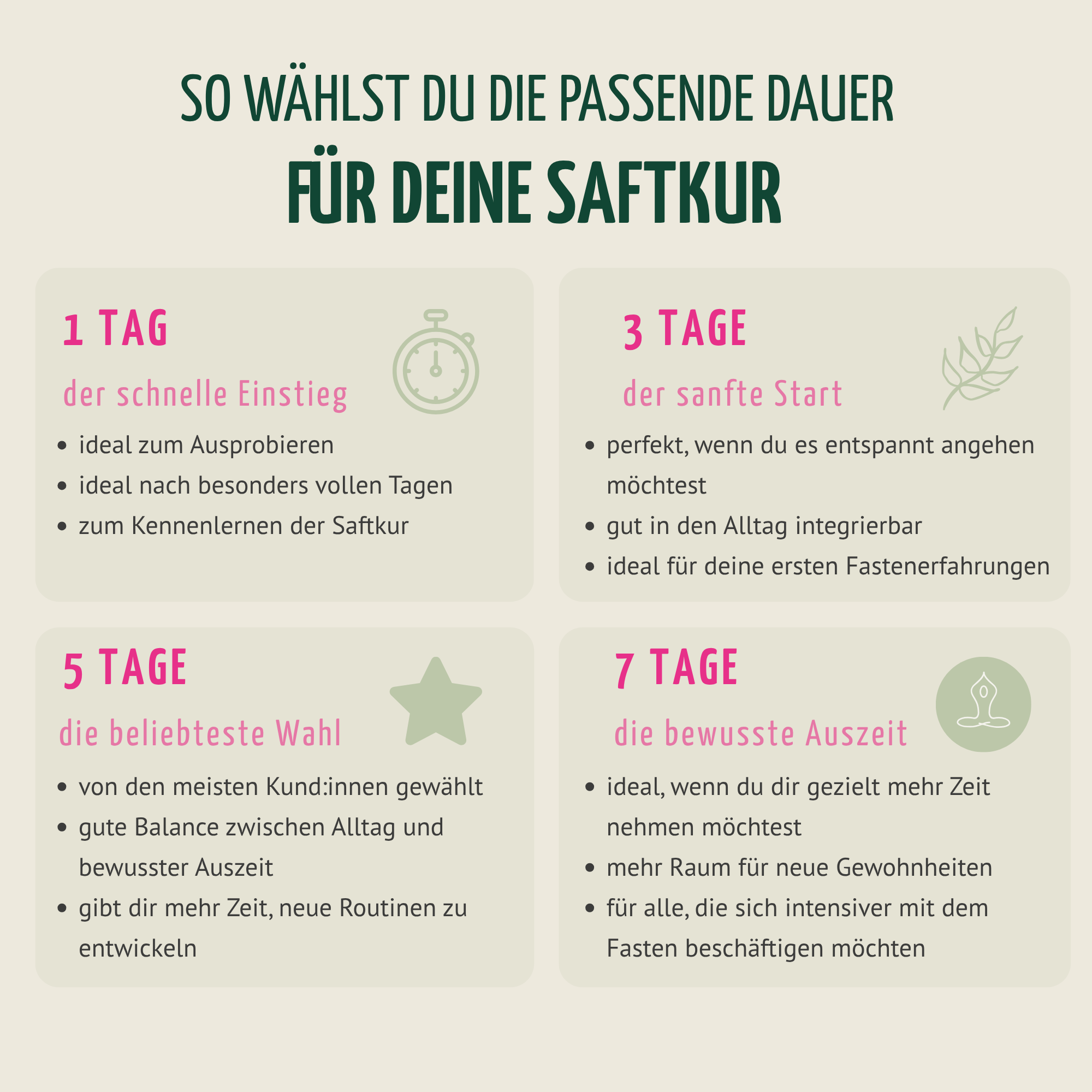 Saftstart Bio Fastenkur 1-7 Tage (6 Flaschen pro Tag)