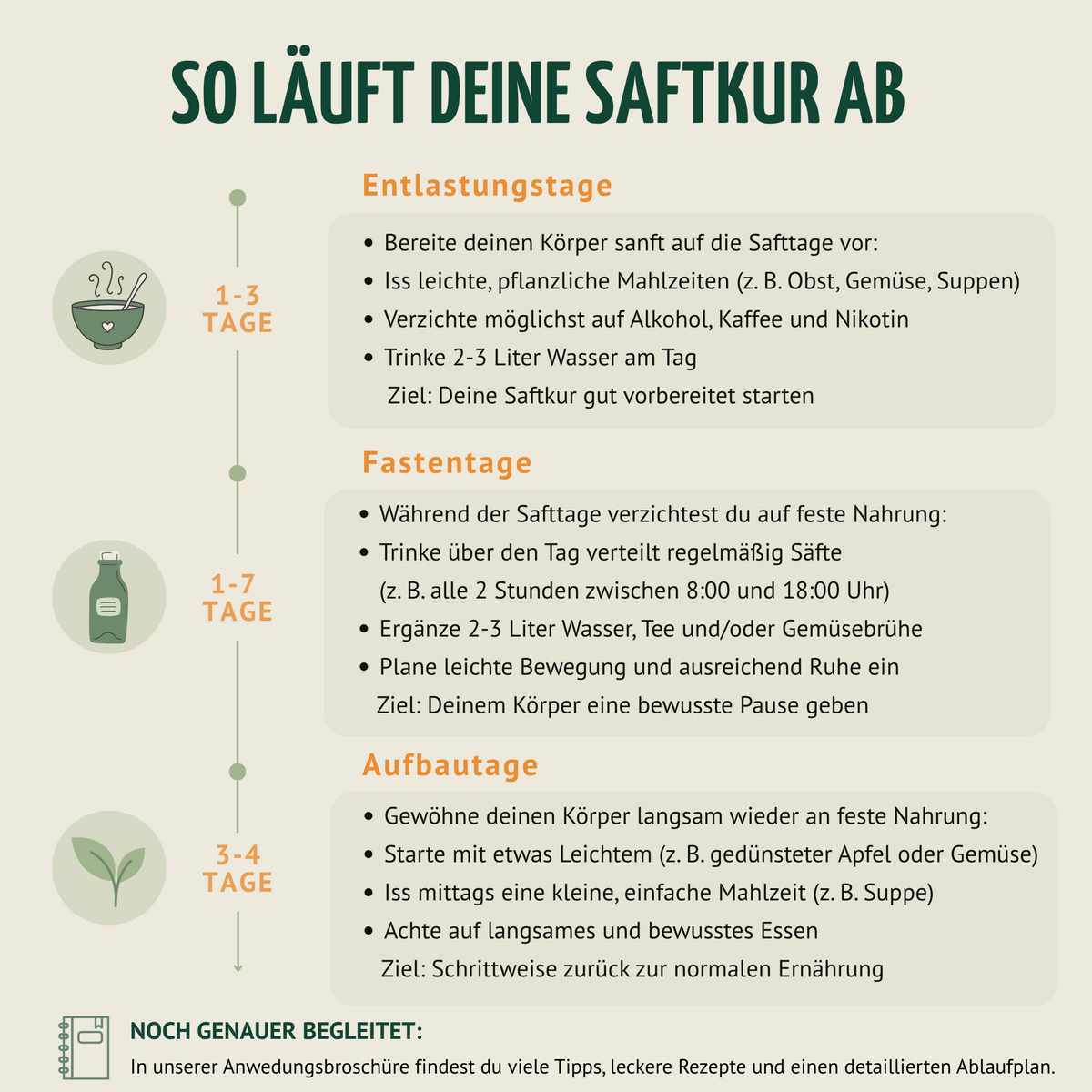 Saftzeit Bio Fastenkur 5 Tage (30 Flaschen)
