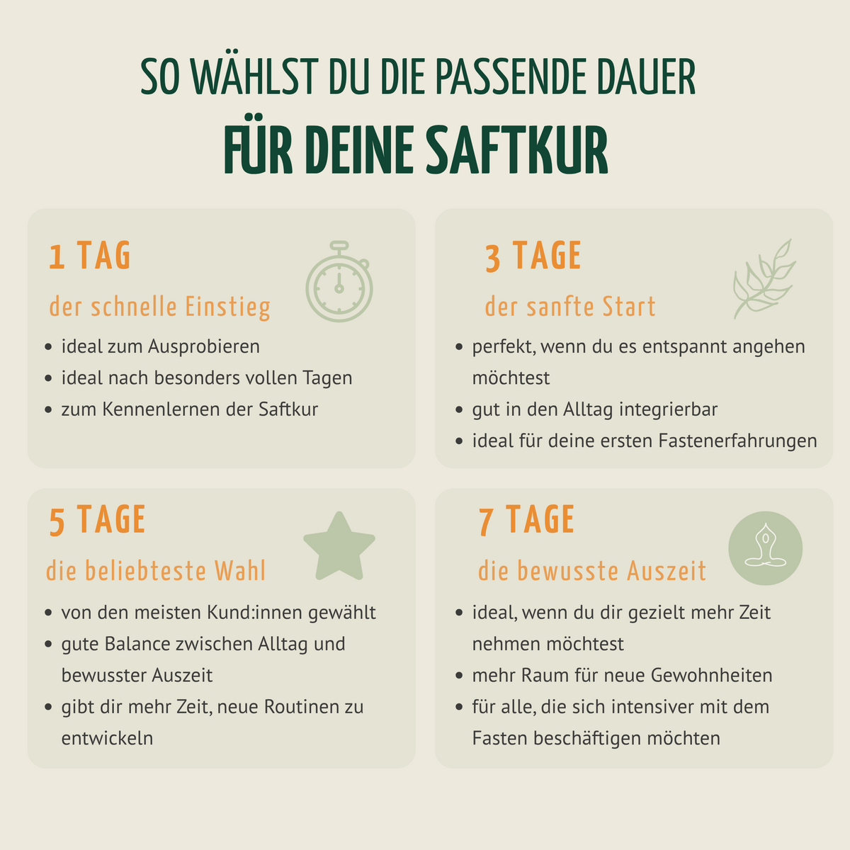 Saftzeit Bio Fastenkur 5 Tage (30 Flaschen)