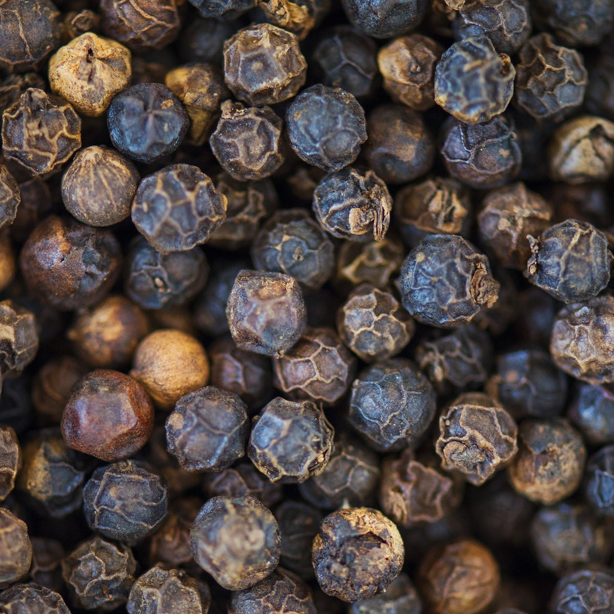 Tellicherry Pfeffer ganz Bio (500g)