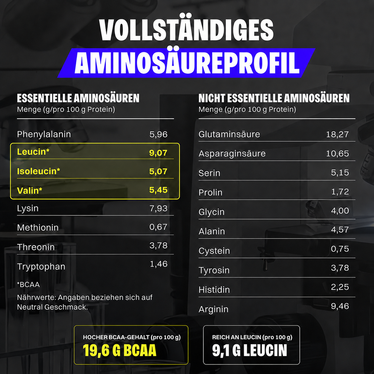 Vegan Protein (1000g)