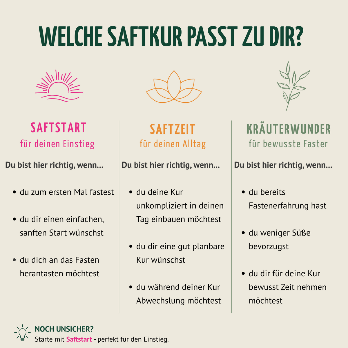 Kräuterwunder Bio Fastenkur 1-7 Tage (6 Flaschen pro Tag)